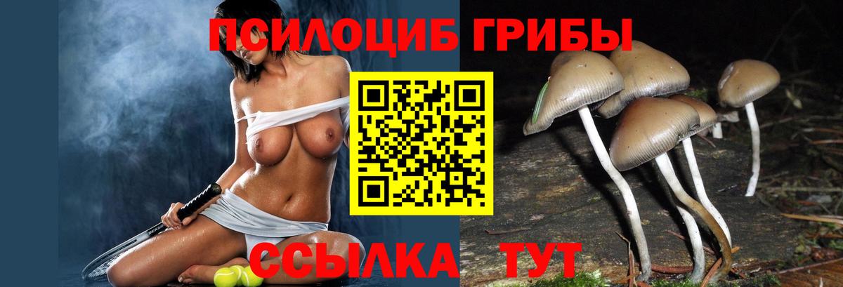 Челябинск  Псилоцибиновые грибы MAGIC MUSHROOMS  Вход с VPN 