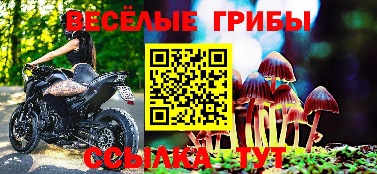 Псилоцибиновые грибы Psilocybe Челябинск